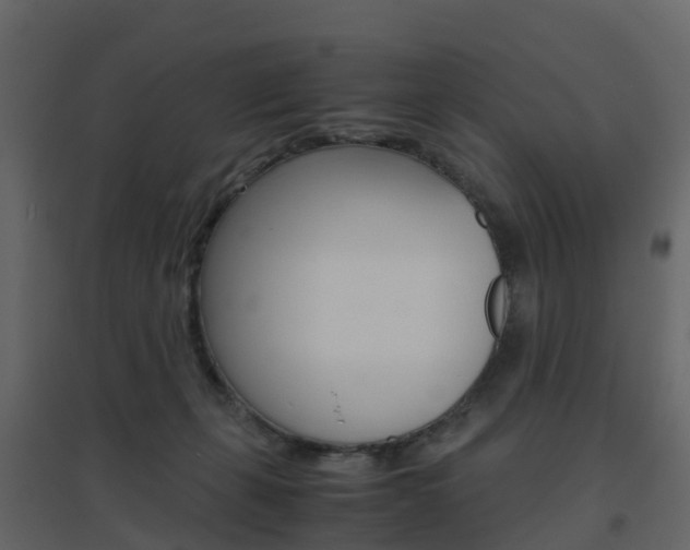 X0000096640271200802051004