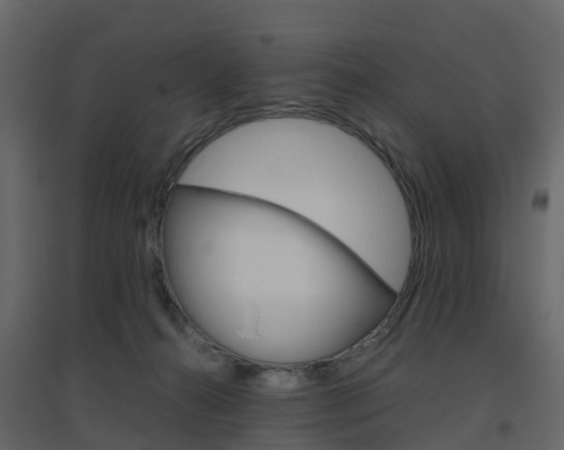 X0000096640272200802051004