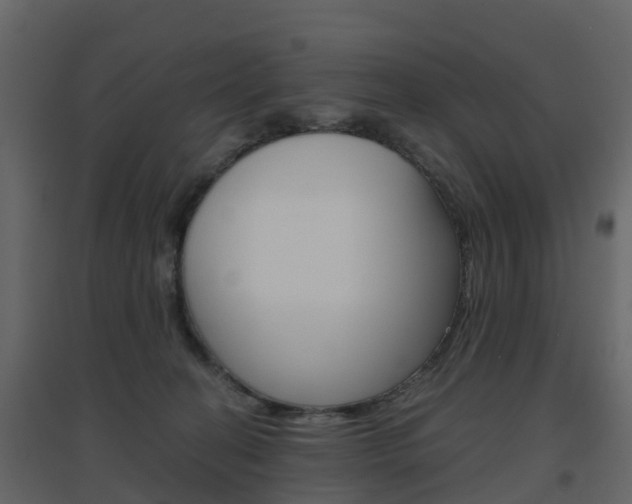 X0000096640274200802051004