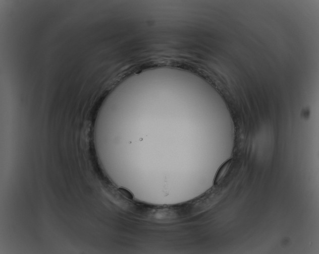 X0000096640275200802051004