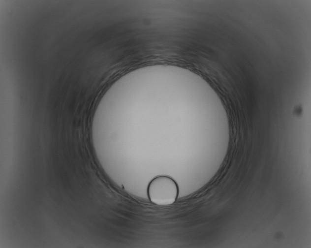 X0000096640276200802051004