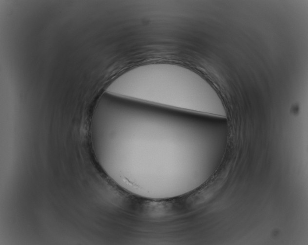 X0000096640277200802051004