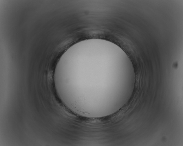 X0000096640278200802051004