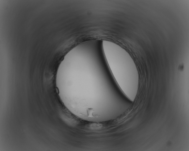 X0000096640279200802051004