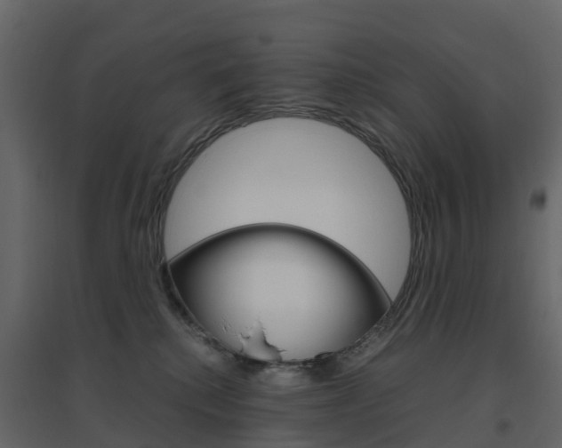 X0000096640280200802051004