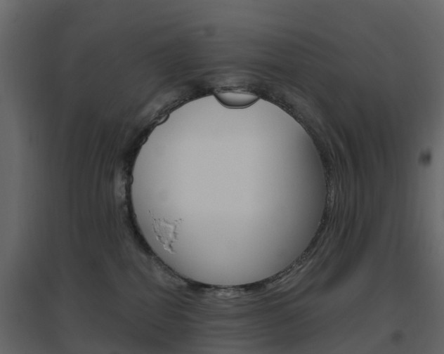X0000096640282200802051004