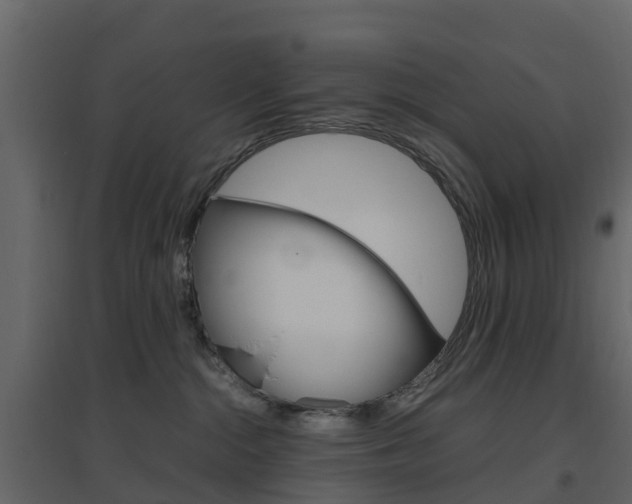 X0000096640284200802051004
