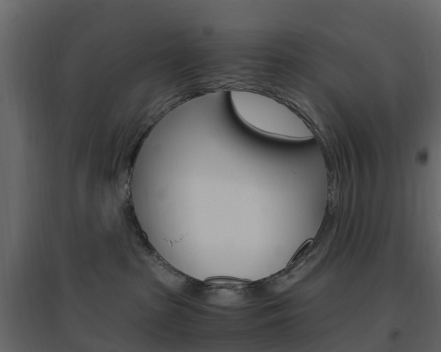 X0000096640285200802051004