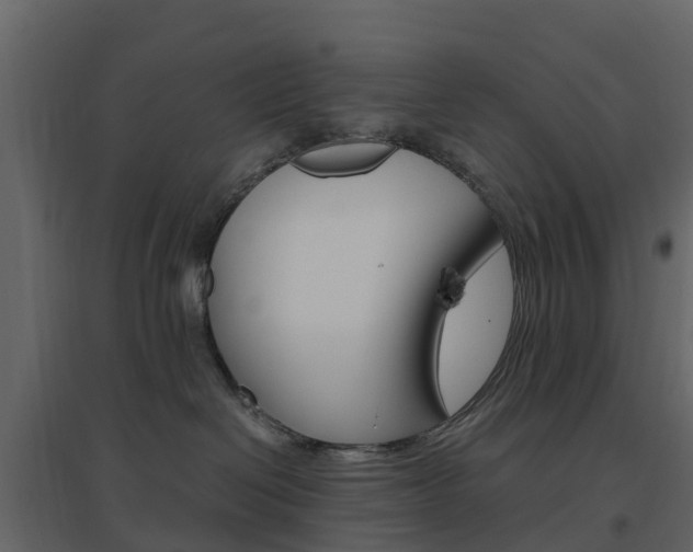 X0000096640286200802051004