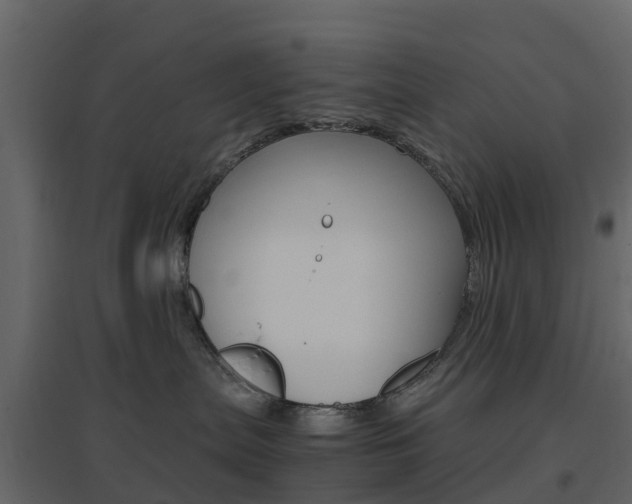 X0000096640287200802051004