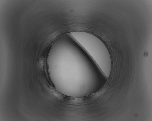 X0000096640288200802051004