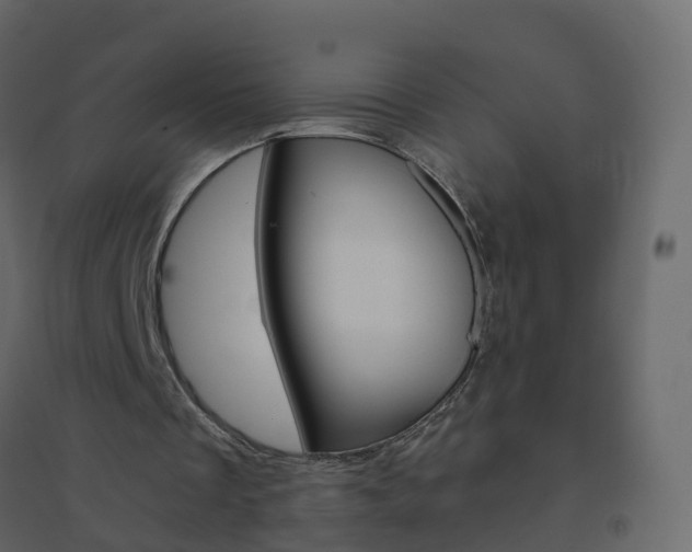 X0000096640289200802051004