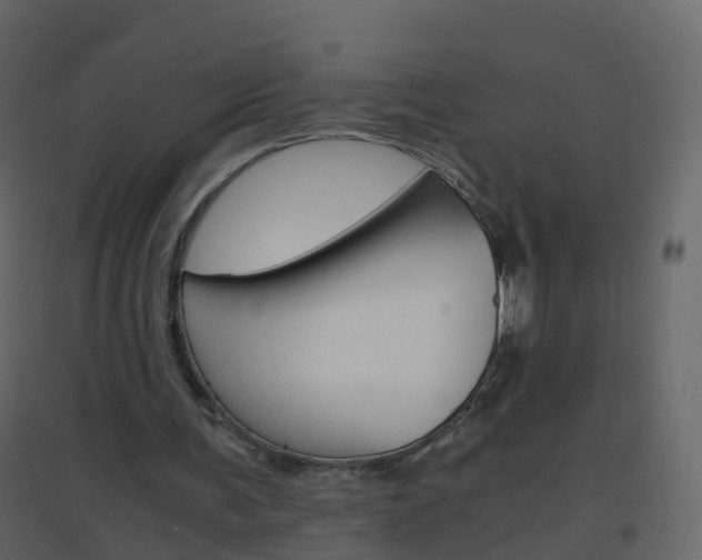 X0000096640291200802051004