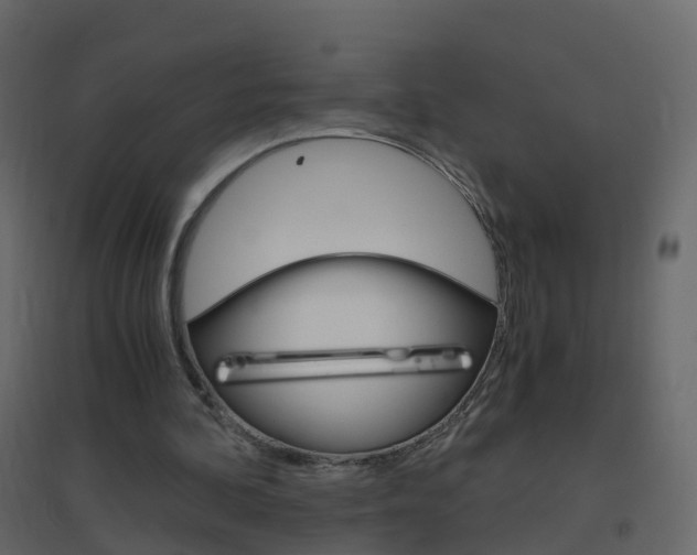 X0000096640292200802051004
