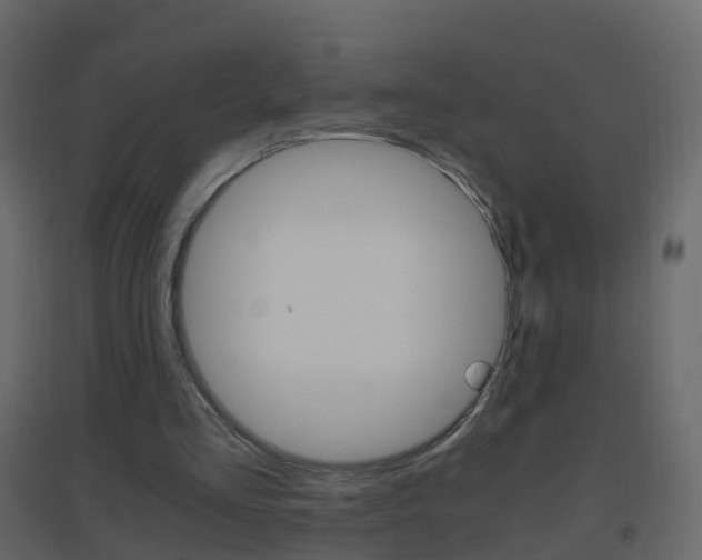 X0000096640293200802051004