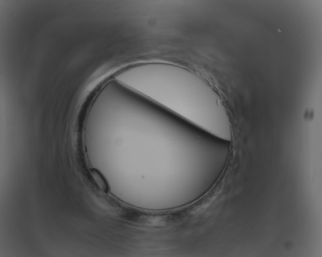 X0000096640295200802051004
