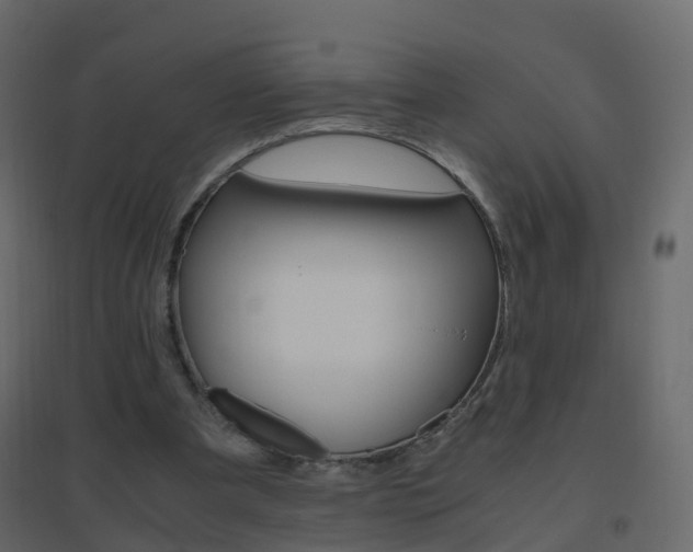 X0000096640297200802051004