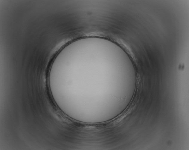 X0000096640298200802051004