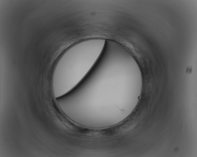 X0000096640299200802051004