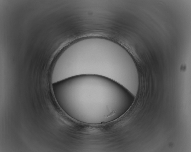 X0000096640300200802051004