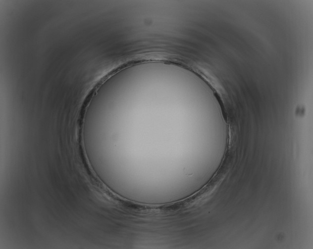 X0000096640301200802051004