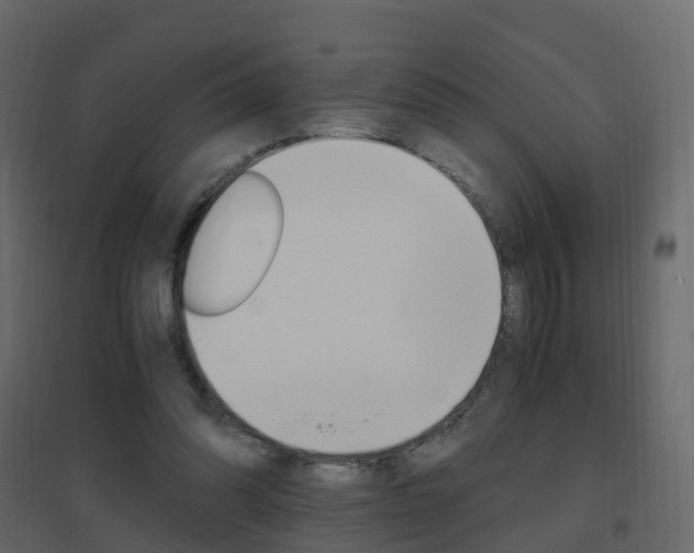 X0000096640302200802051004