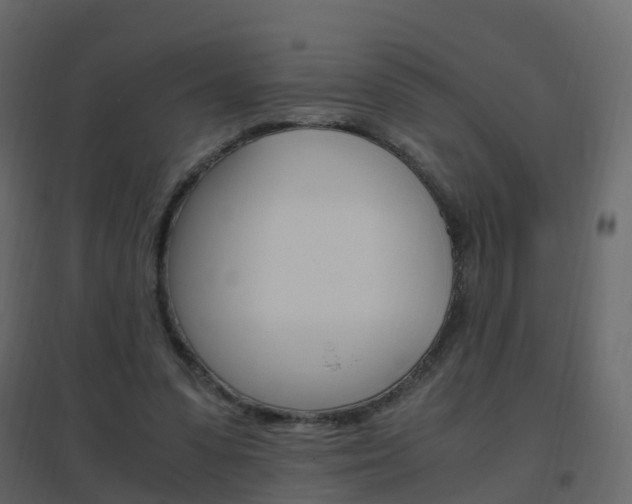 X0000096640303200802051004
