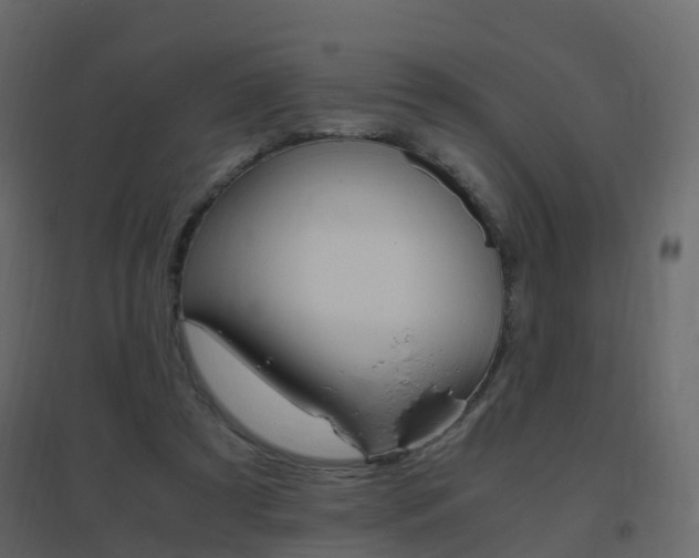 X0000096640305200802051004