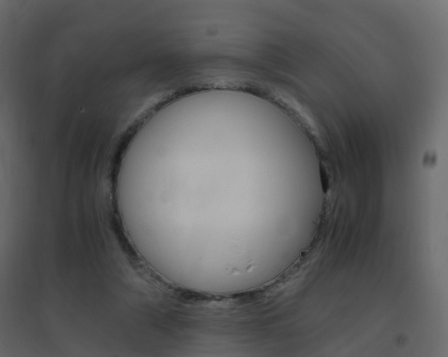 X0000096640306200802051004