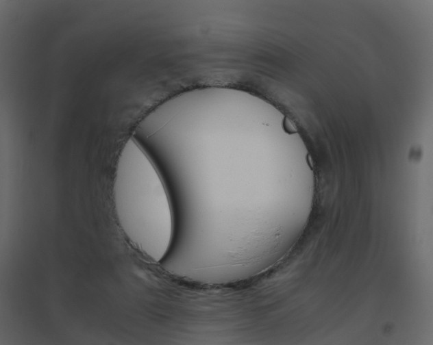 X0000096640307200802051004