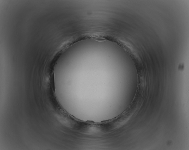 X0000096640308200802051004