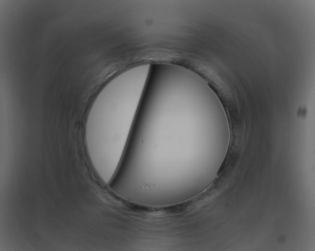 X0000096640309200802051004