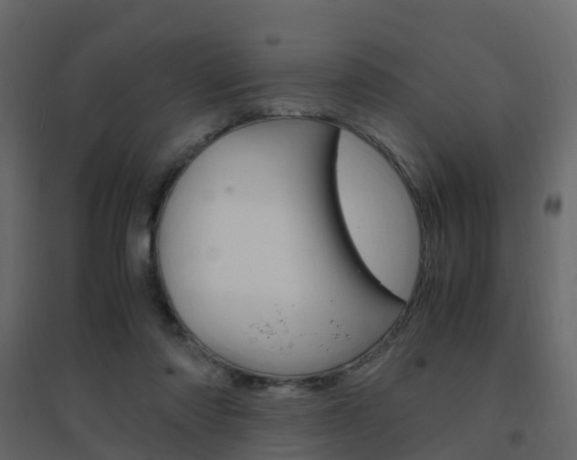 X0000096640310200802051004