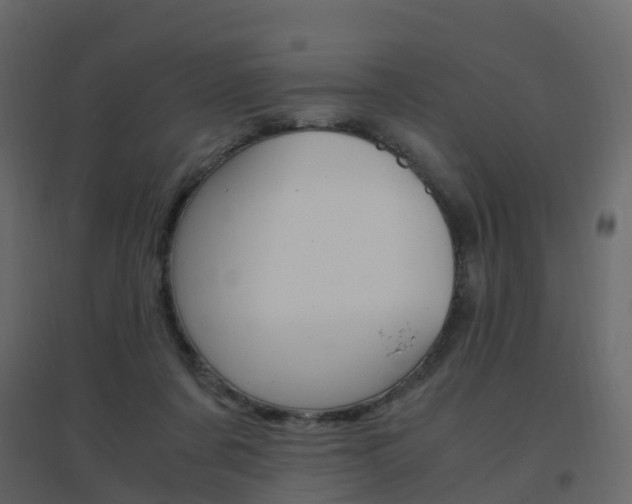 X0000096640311200802051004