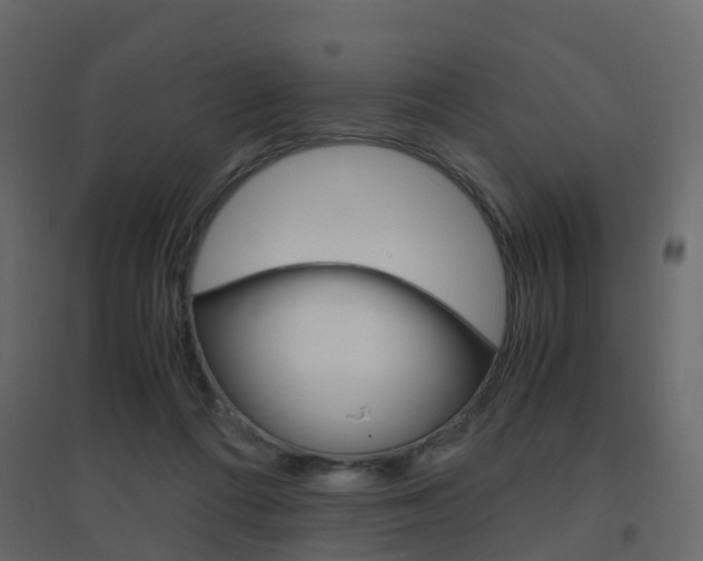 X0000096640312200802051003