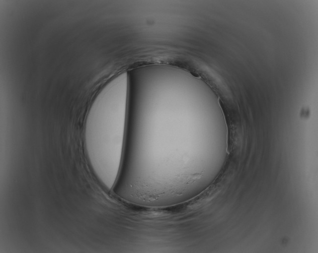 X0000096640313200802051003
