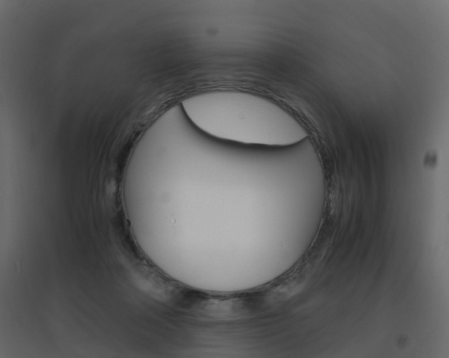 X0000096640314200802051003