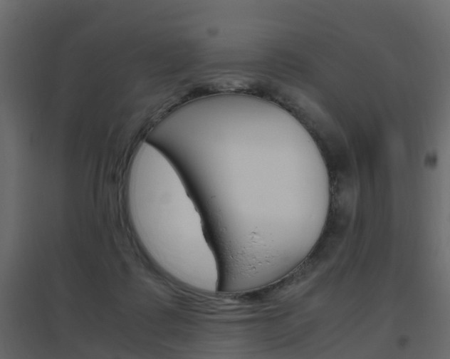 X0000096640315200802051003