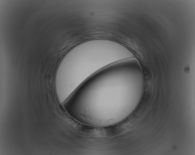 X0000096640317200802051003