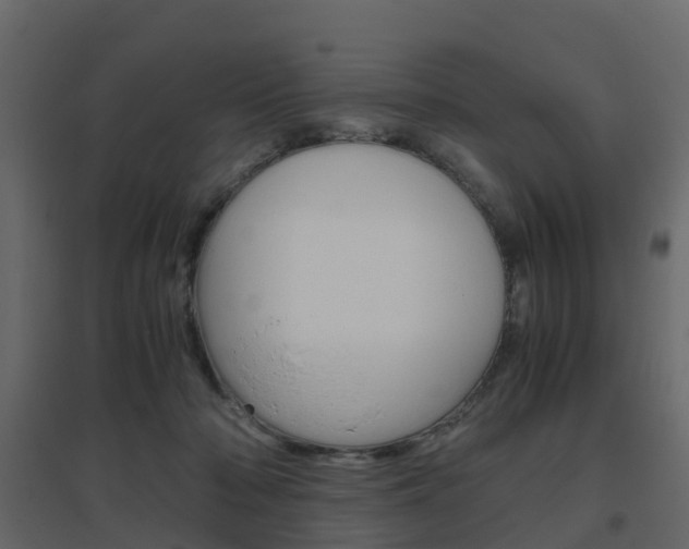 X0000096640318200802051003