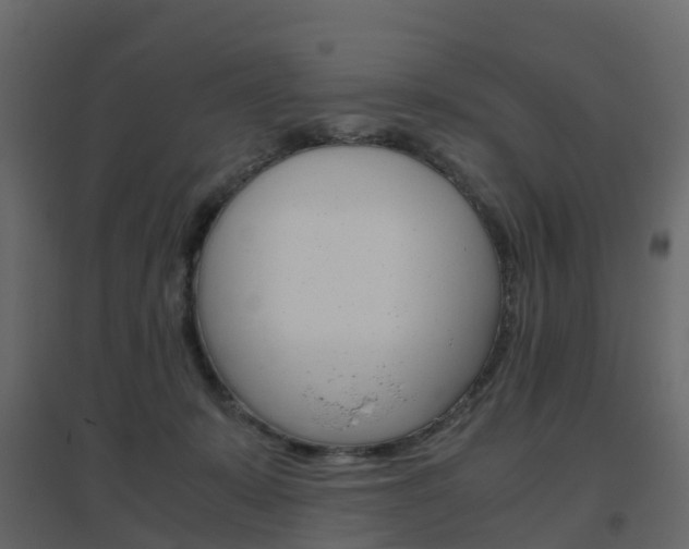 X0000096640319200802051003