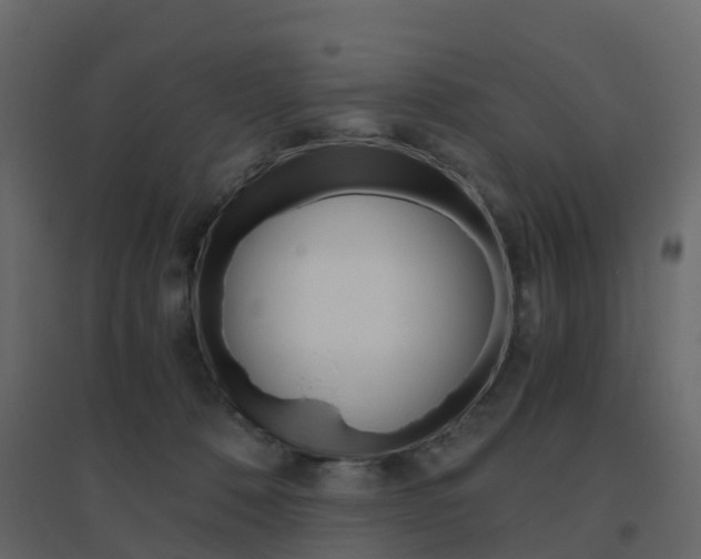 X0000096640320200802051003
