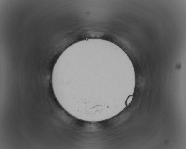 X0000096640321200802051003