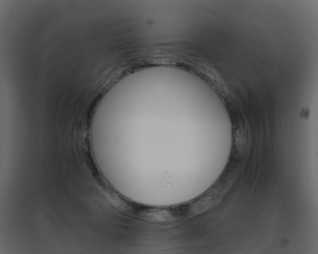 X0000096640322200802051003