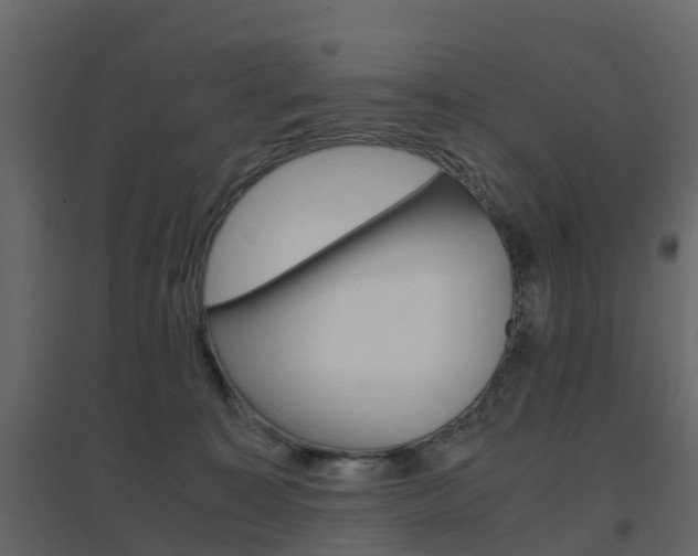 X0000096640323200802051003