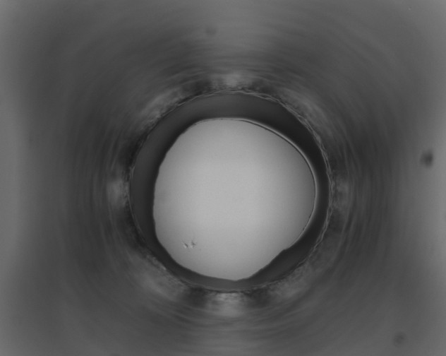 X0000096640324200802051003