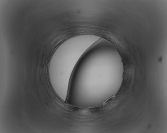 X0000096640325200802051003