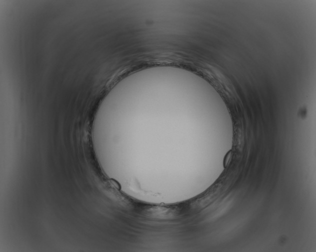 X0000096640326200802051003