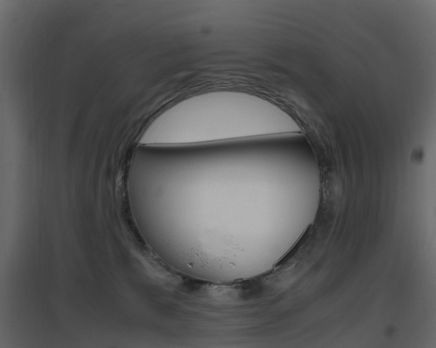 X0000096640327200802051003