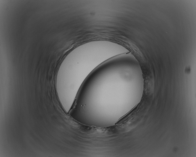 X0000096640329200802051003